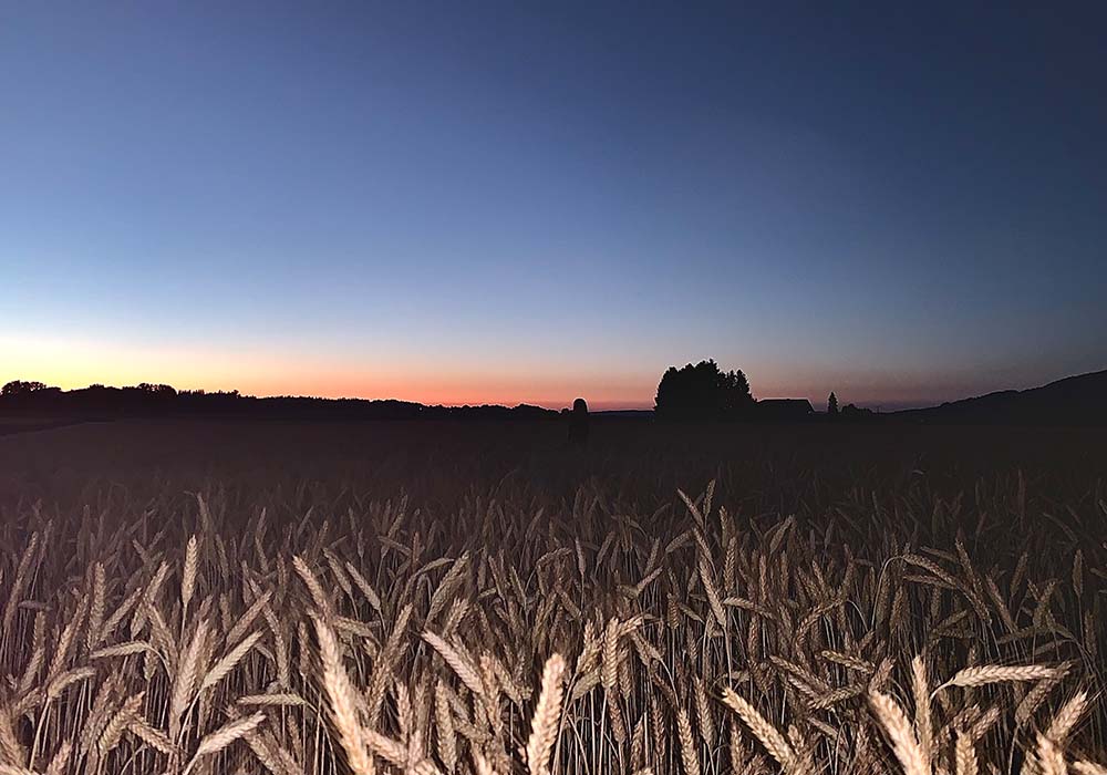 Sonnenuntergang
